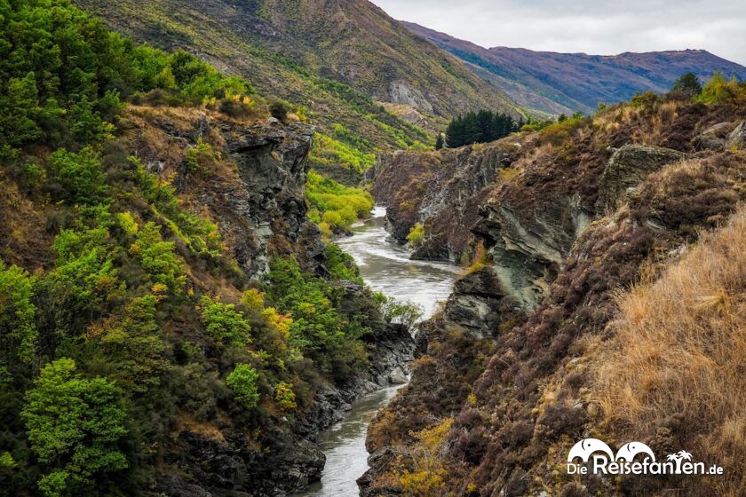 Kawarau Gorge Suspension Bridge Hoch über dem Anduin (1)