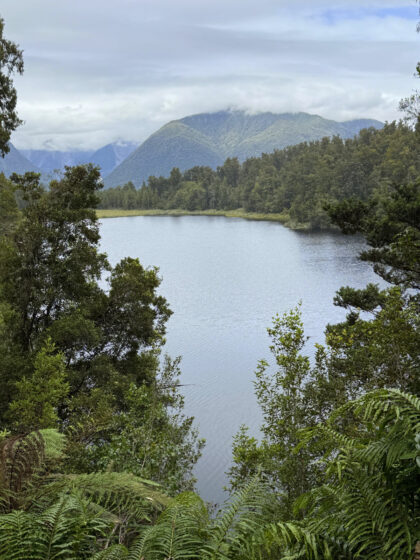 Lake Matheson (16)