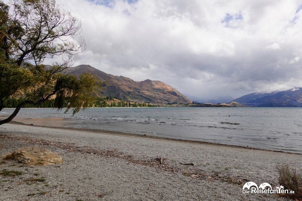 Lake Wānaka und ein entspannter Nachmittag am berühmtesten Baum Neuseelands (1)