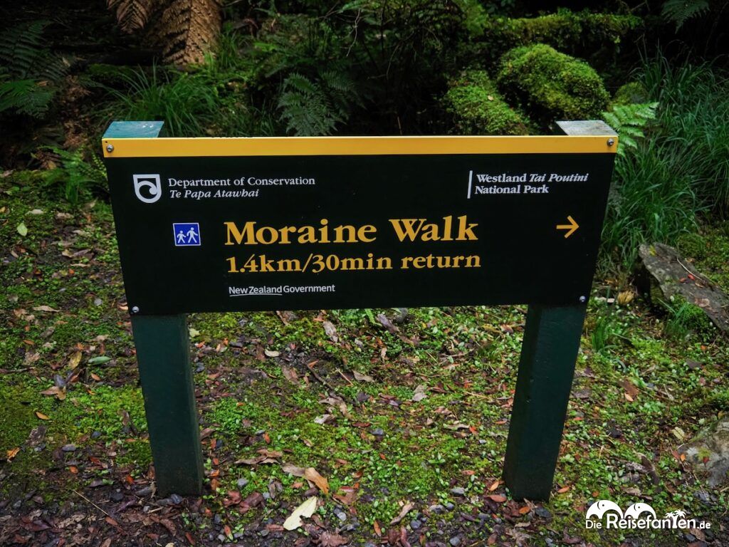 Moraine Walk am Fox Glacier (24)