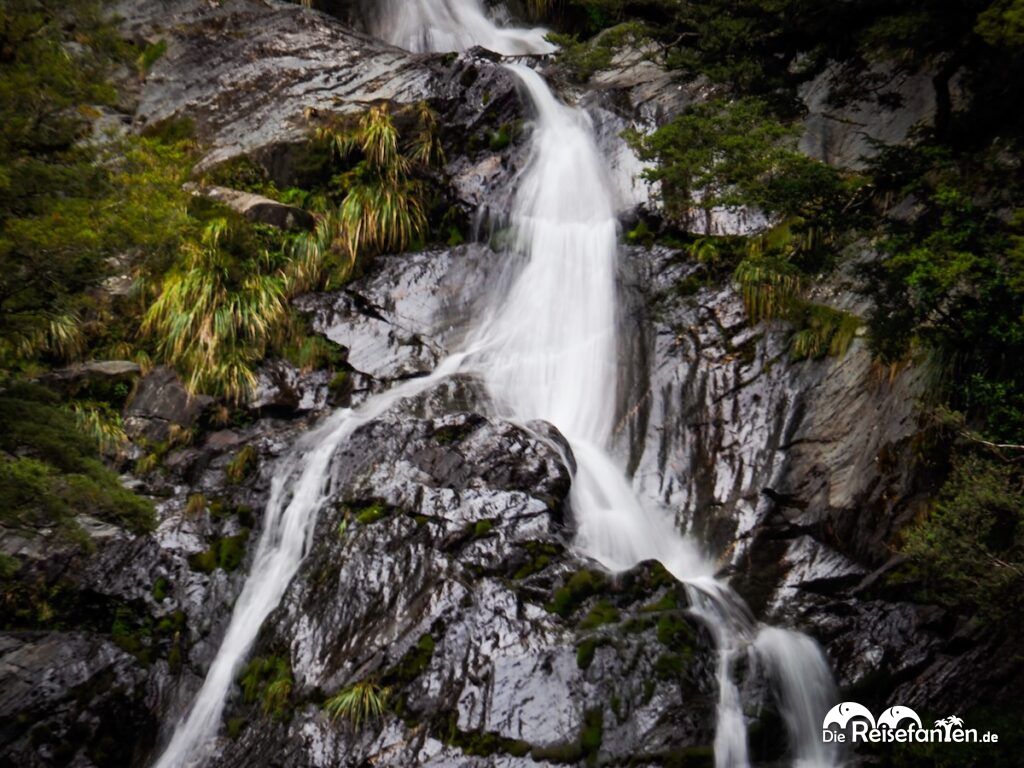 Roaring Billy Falls Schöner Wasserfall, fiese Sandfliegen (11)