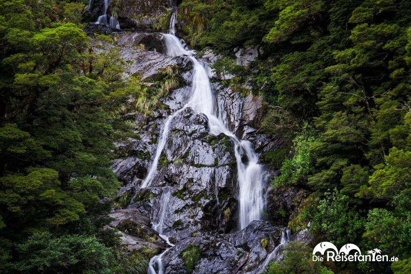 Roaring Billy Falls Schöner Wasserfall, fiese Sandfliegen (8)