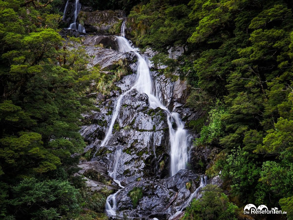 Roaring Billy Falls Schöner Wasserfall, fiese Sandfliegen (8)