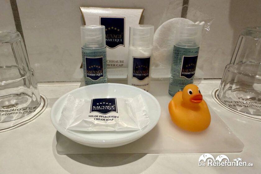 Schlosshotel Bad Wilhelmshöhe (4)