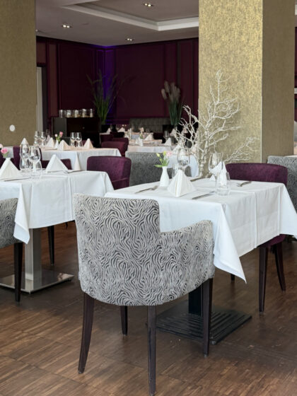 Schlosshotel Bad Wilhelmshöhe (8)