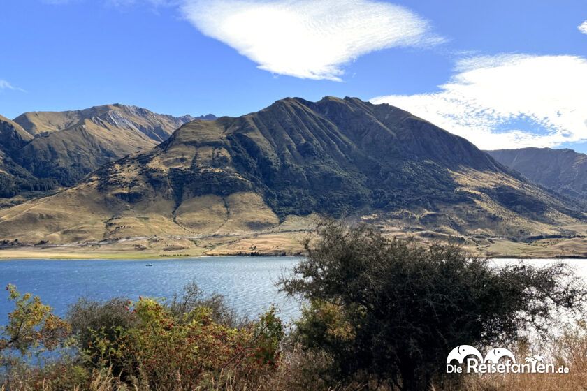 Wanaka nach Hawea (2)