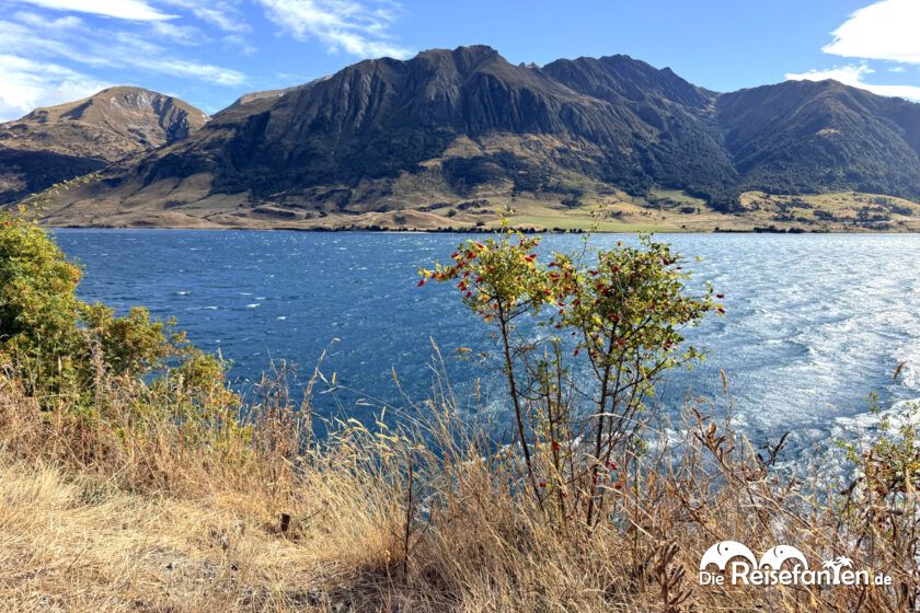 Wanaka nach Hawea (3)