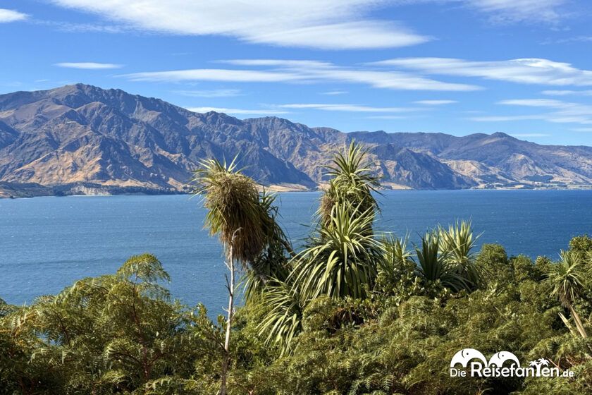 Wanaka nach Hawea (5)