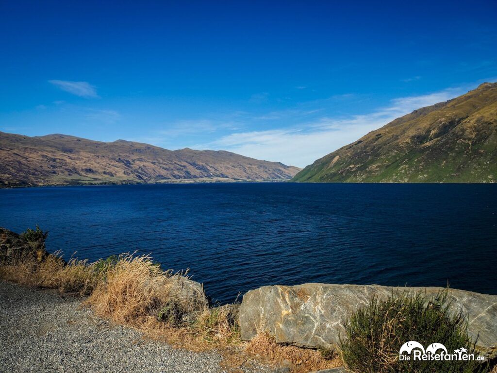 Nach und in Te Anau in Neuseeland (2)