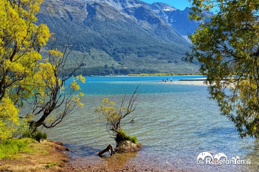 Queenstown (24)
