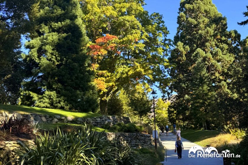 Queenstown (26)
