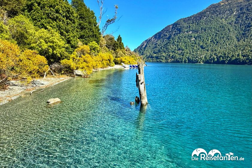 Queenstown (5)