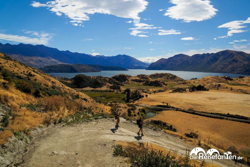 Roys Peak (10) Roys Peak (10)