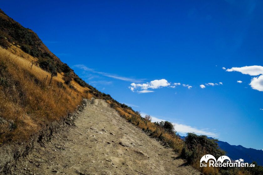 Roys Peak (11)
