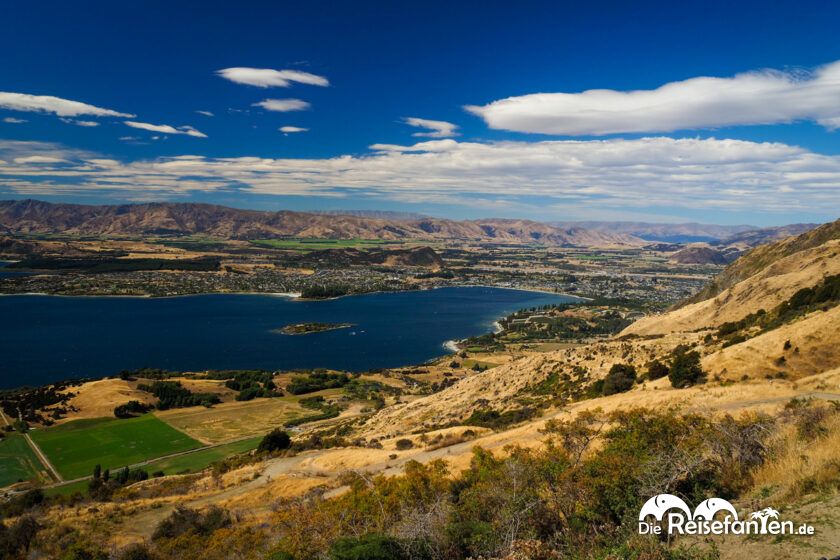 Roys Peak (12)