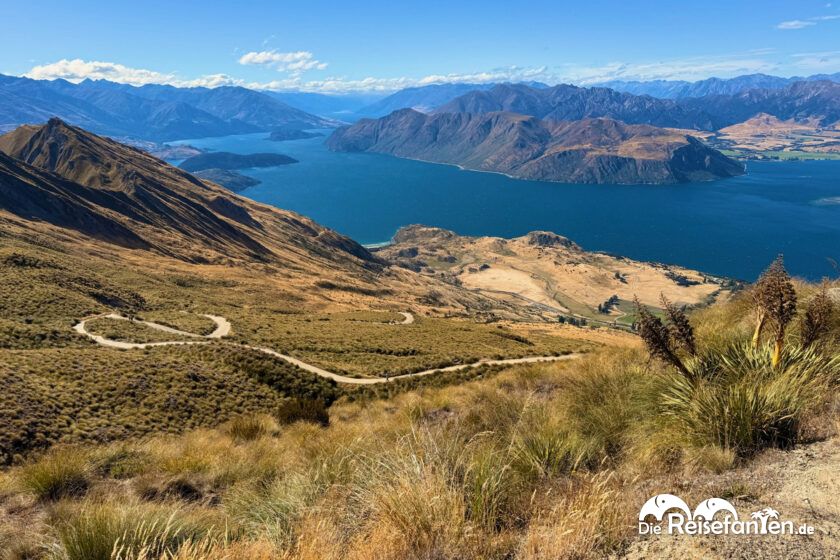 Roys Peak (15)