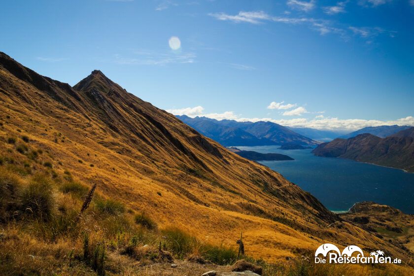 Roys Peak (16)