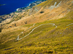 Roys Peak (2)