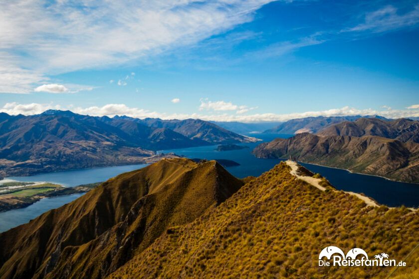 Roys Peak (3)