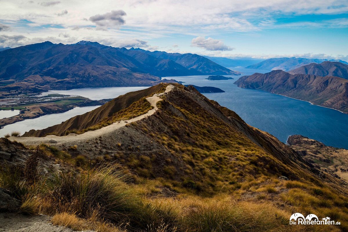 Roys Peak (5)