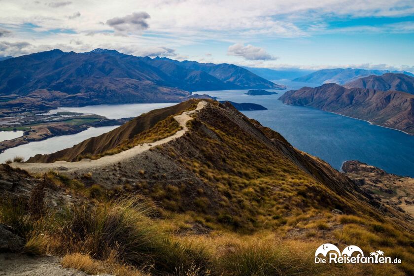 Roys Peak (5)