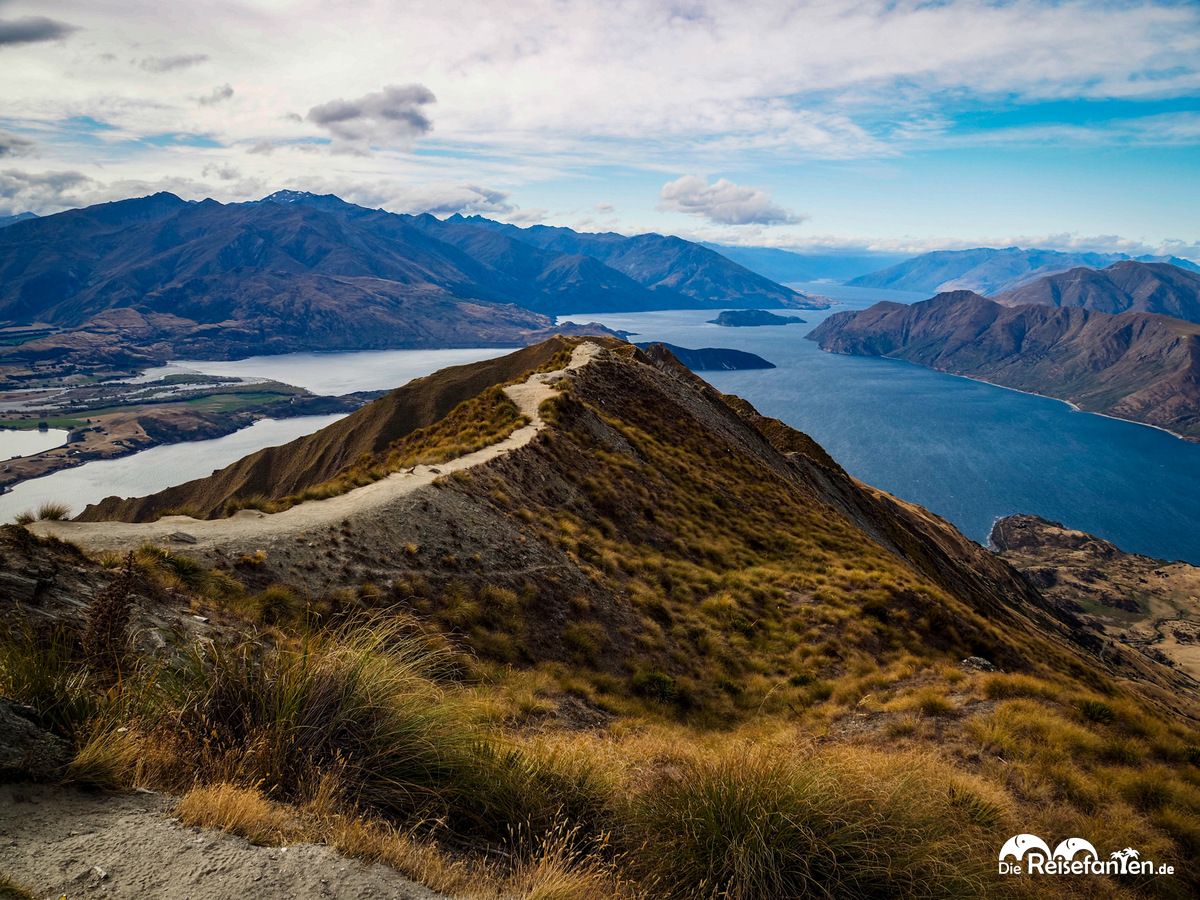 Roys Peak (5)